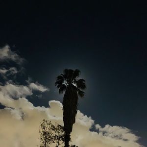 Meet your Posher, Steve